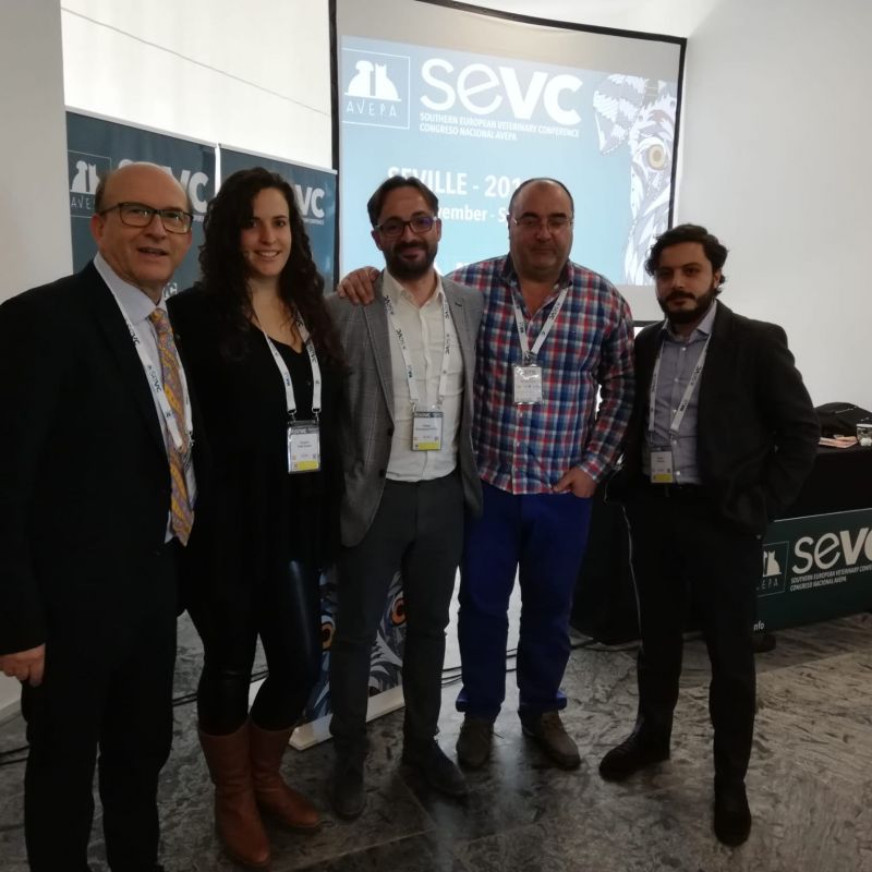 Congreso SEVC 2019 AVEPA